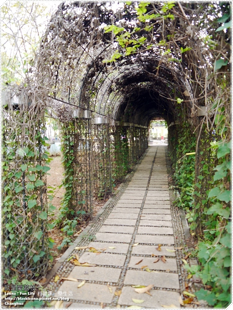 20251027_-179 20251027_-179