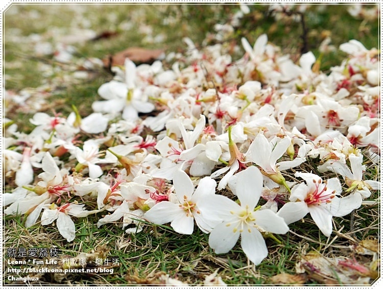 20251027_-180 20251027_-180