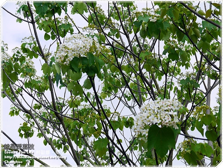 20251027_-181 20251027_-181