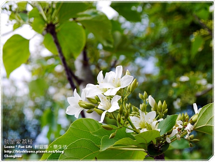 20251027_-182 20251027_-182