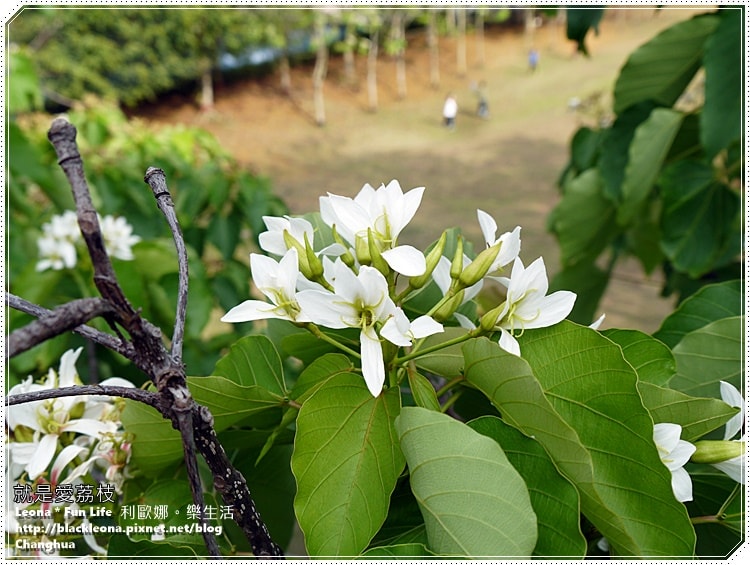 20251027_-201 20251027_-201