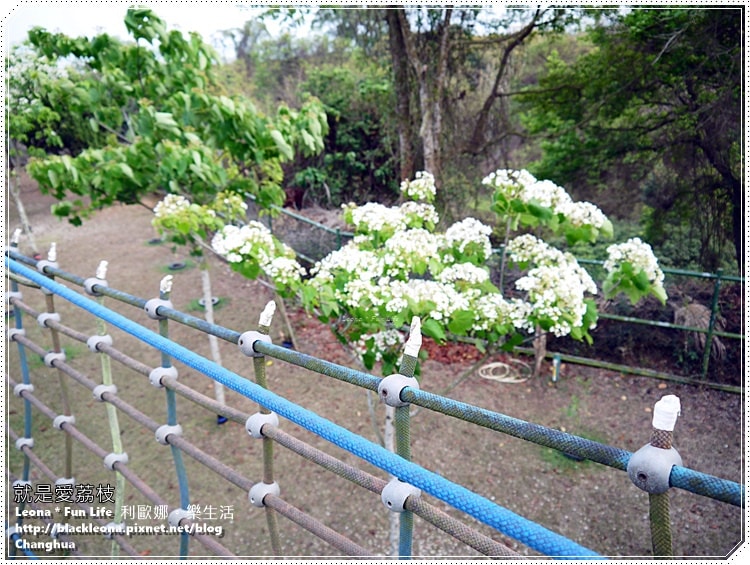 20251027_-208 20251027_-208