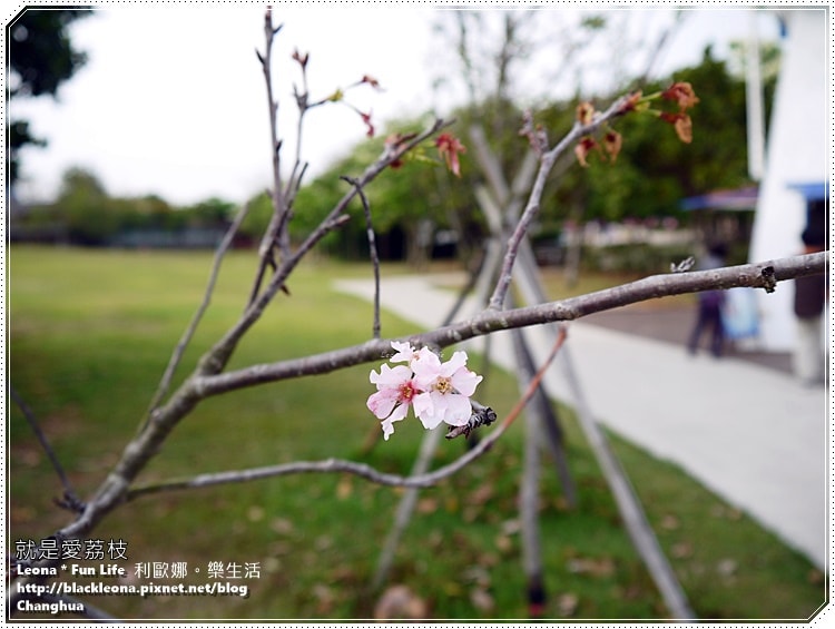 20251027_-218 20251027_-218