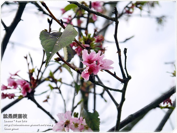 20251027_-219 20251027_-219