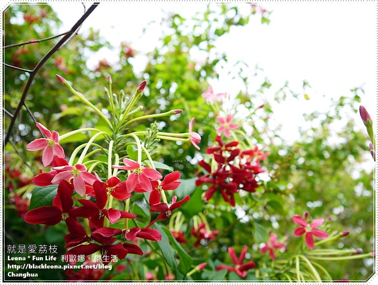 20251027_-220 20251027_-220