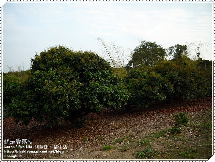 20251027_-222 20251027_-222