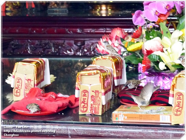 20251027_-234 20251027_-234