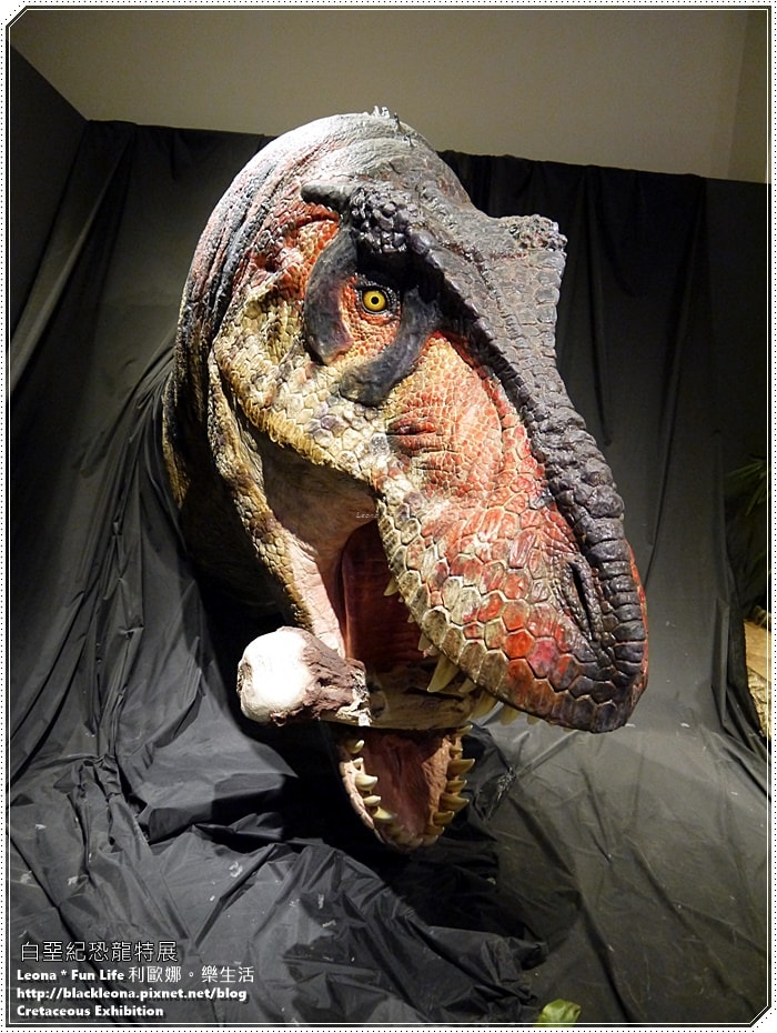 20251027_-103 20251027_-103