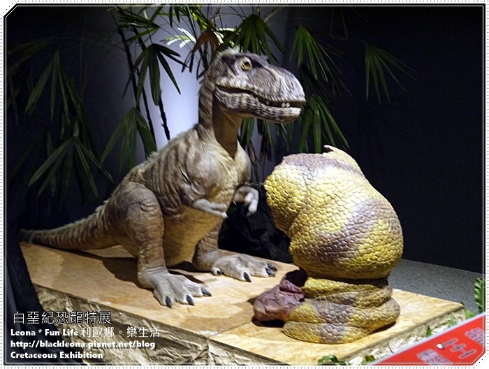 20251027_-104 20251027_-104