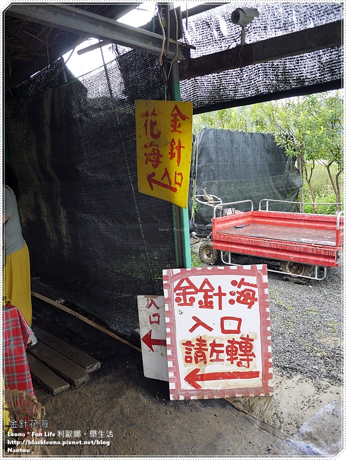 20251027_-302 20251027_-302