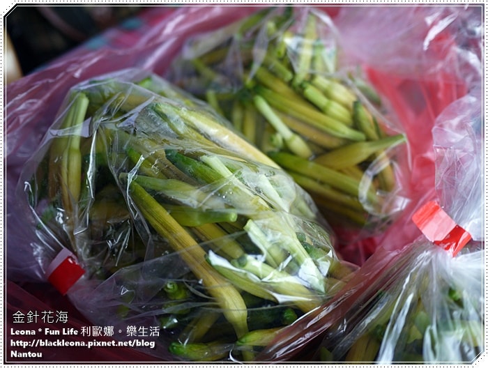 20251027_-305 20251027_-305