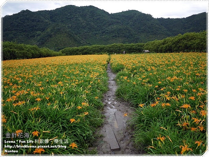 20251027_-306 20251027_-306