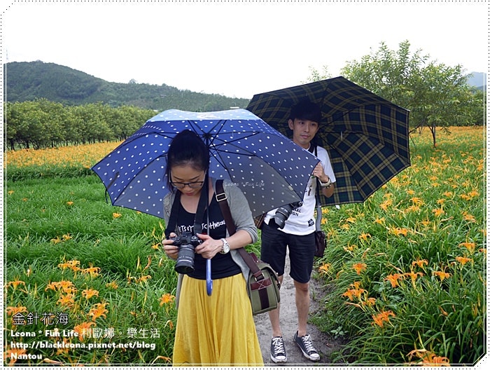 20251027_-307 20251027_-307