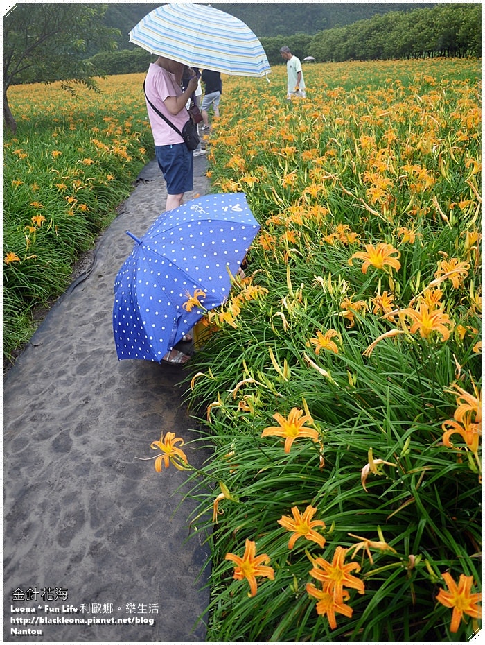 20251027_-308 20251027_-308