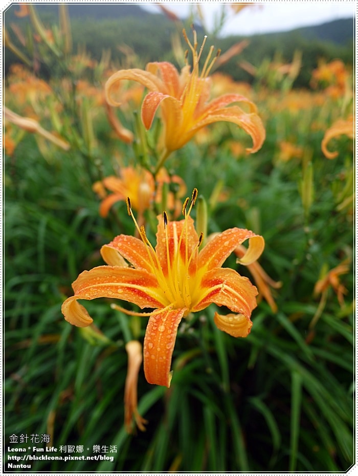 20251027_-310 20251027_-310