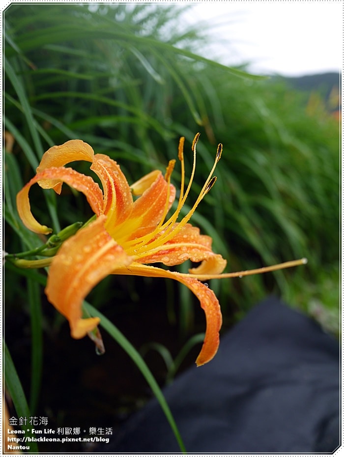 20251027_-311 20251027_-311