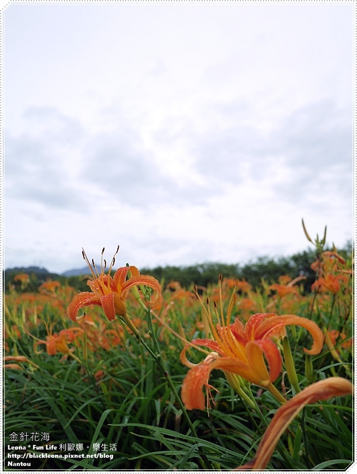 20251027_-312 20251027_-312