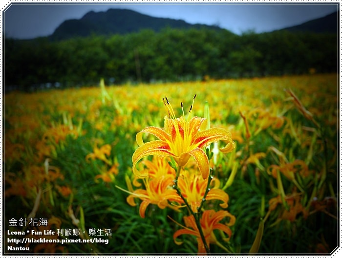 20251027_-313 20251027_-313