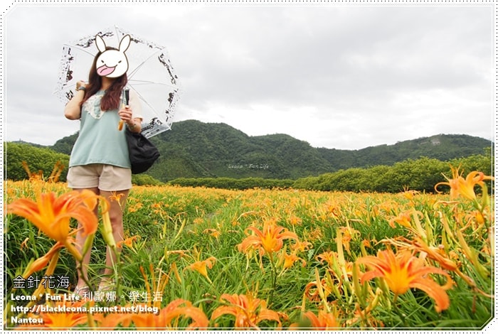 20251027_-316 20251027_-316