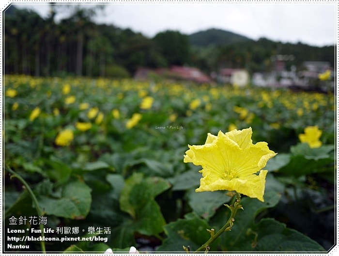 20251027_-317 20251027_-317