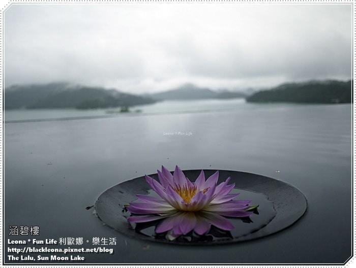 20251027_-348 20251027_-348