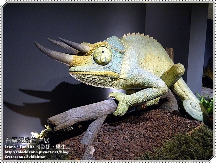 20251027_-79 20251027_-79