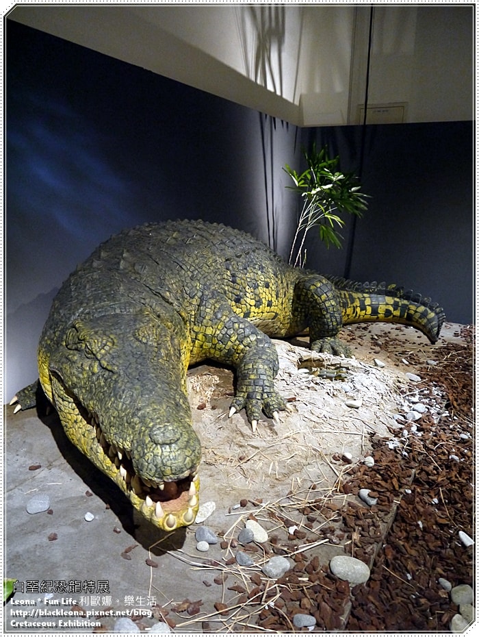 20251027_-81 20251027_-81