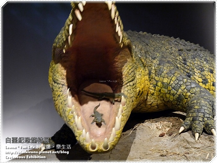 20251027_-82 20251027_-82