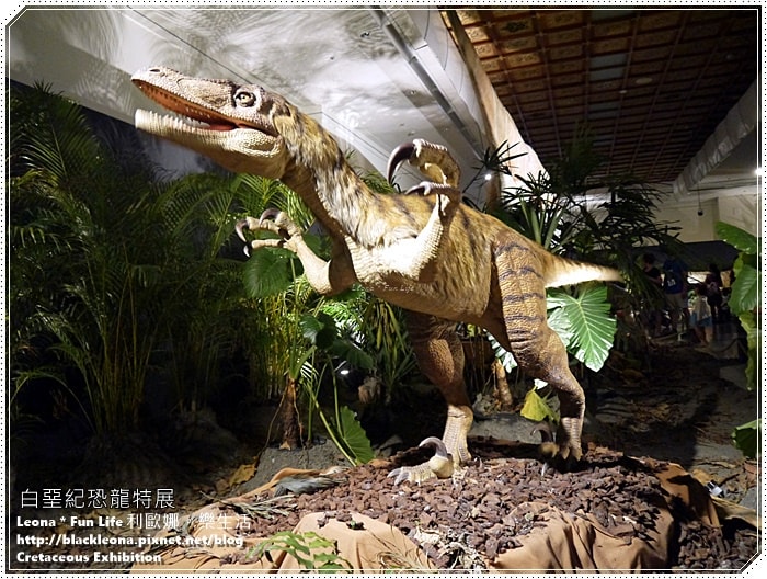 20251027_-83 20251027_-83