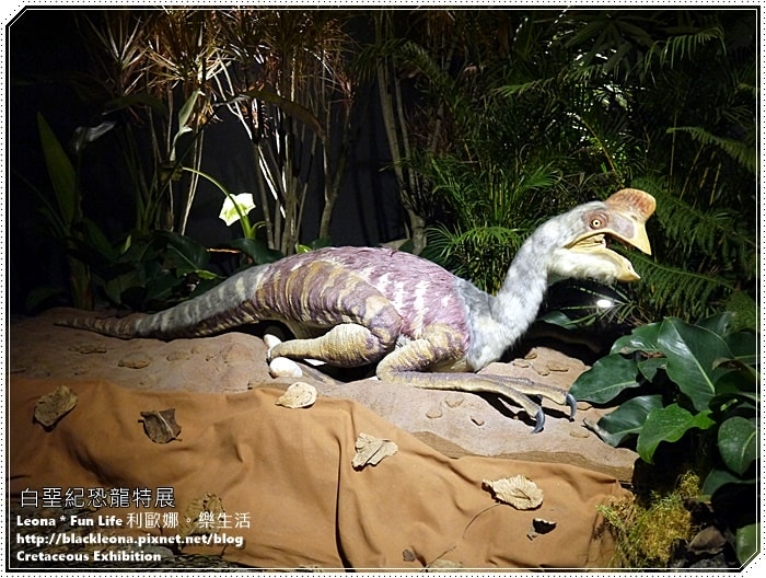 20251027_-84 20251027_-84