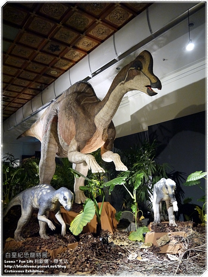 20251027_-85 20251027_-85