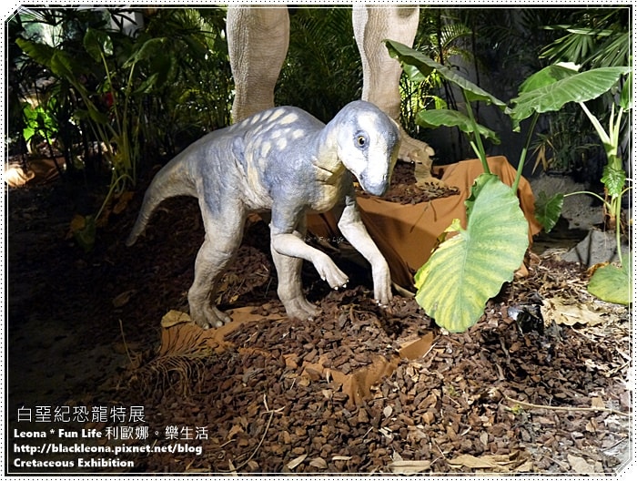 20251027_-86 20251027_-86