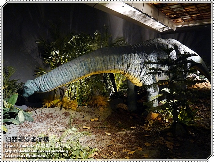 20251027_-87 20251027_-87