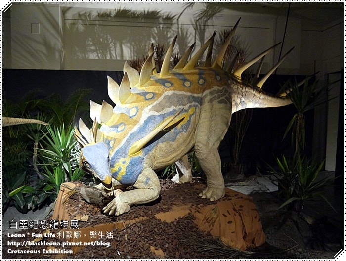 20251027_-88 20251027_-88