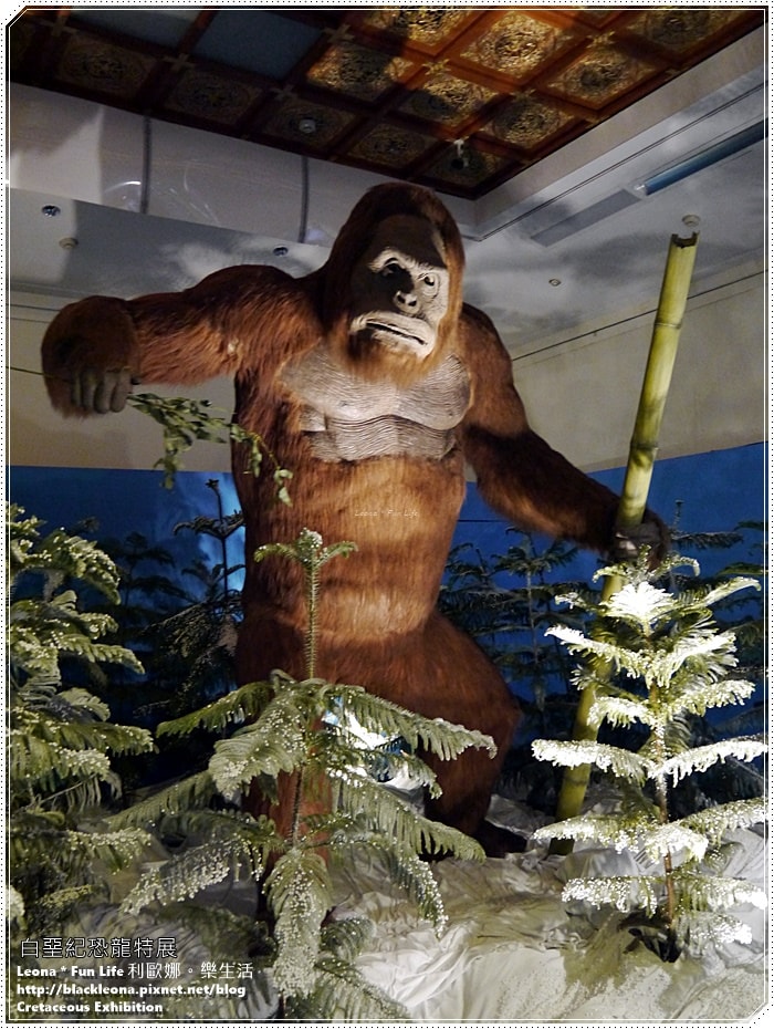 20251027_-91 20251027_-91