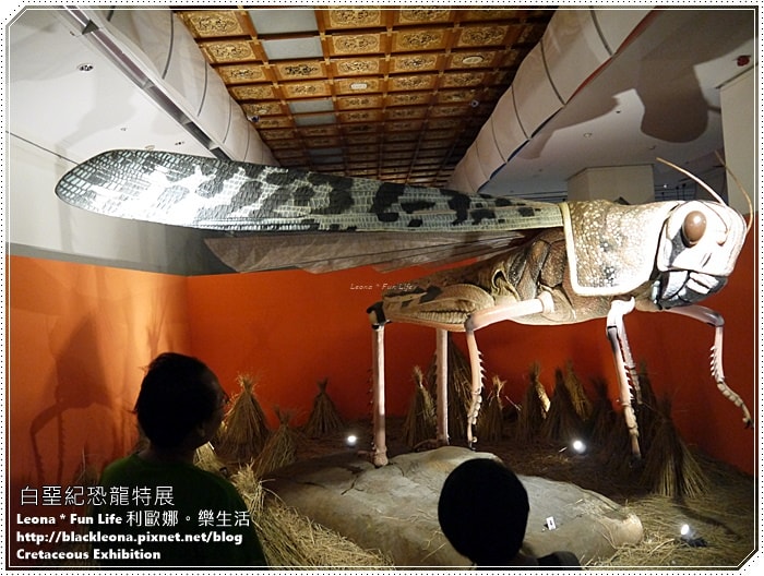 20251027_-94 20251027_-94