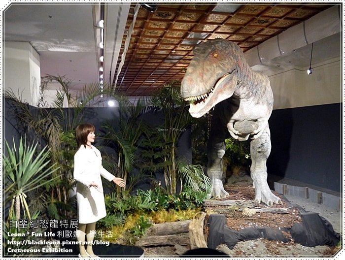 20251027_-96 20251027_-96