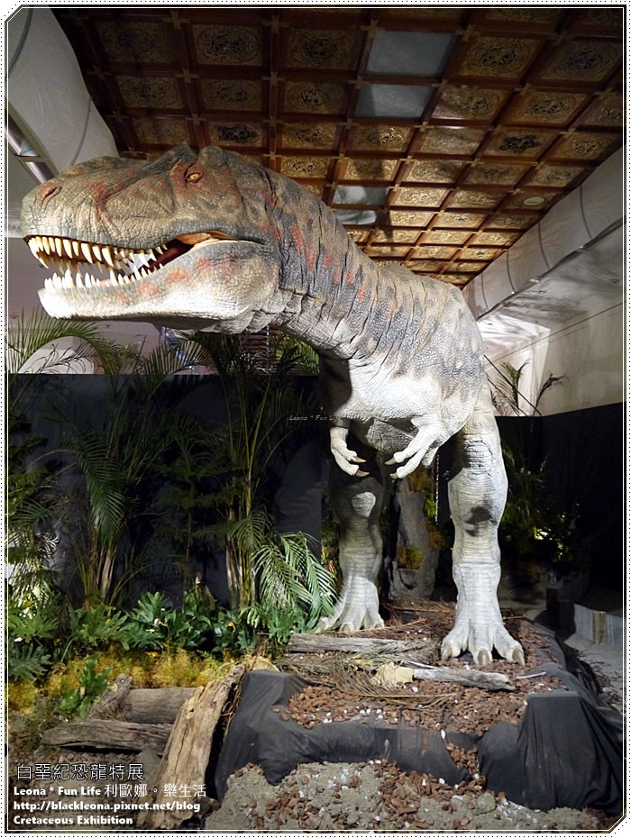 20251027_-97 20251027_-97