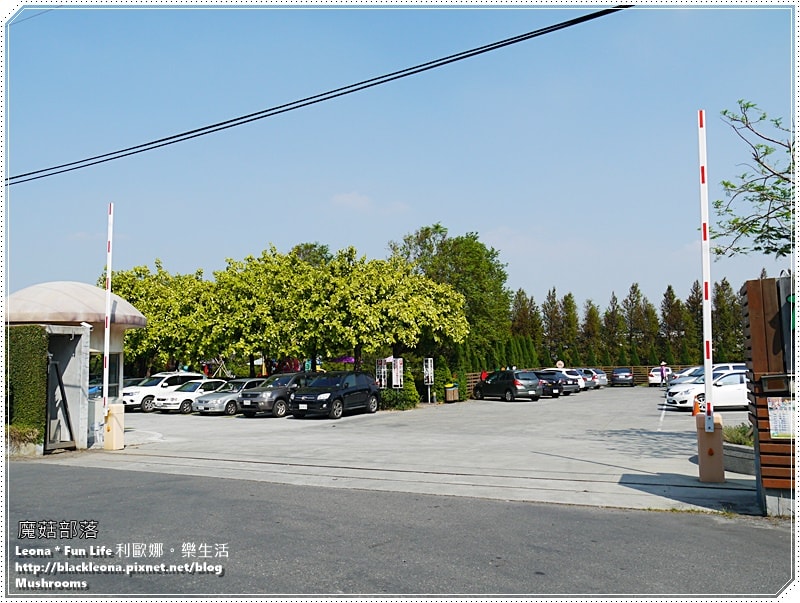 20251027_-229 20251027_-229