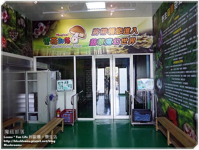 20251027_-239 20251027_-239