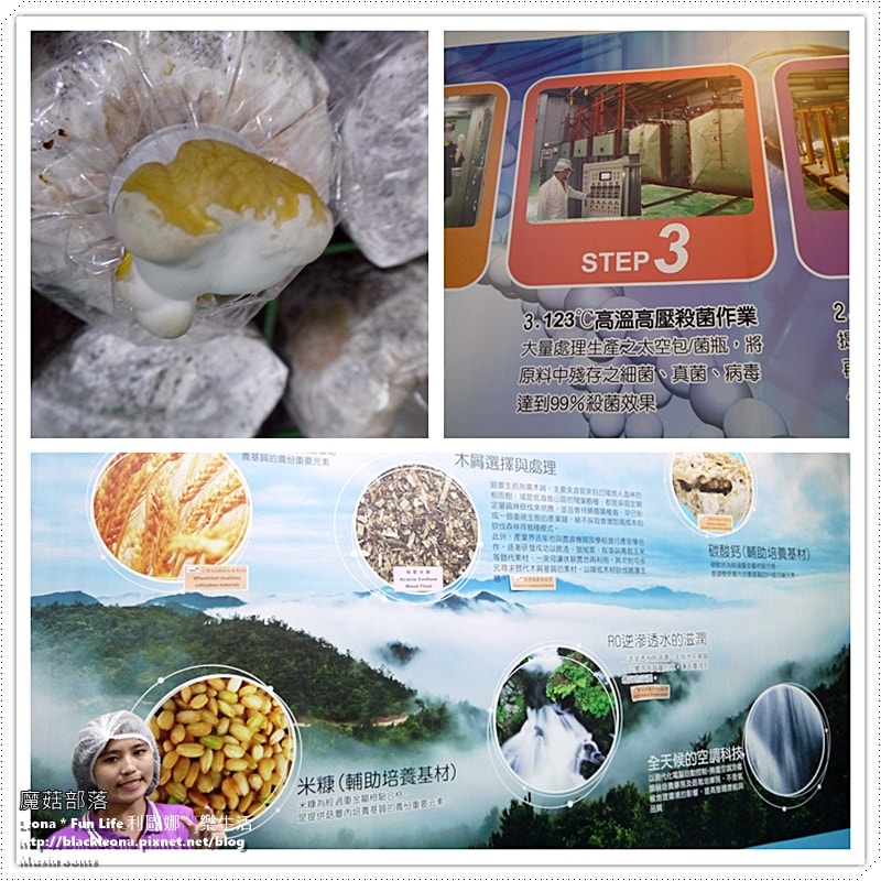 20251027_-242 20251027_-242