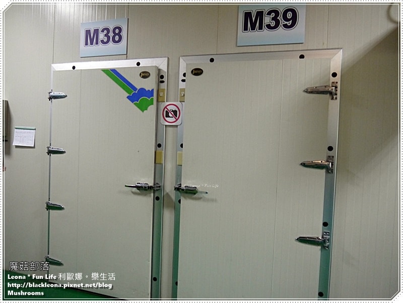 20251027_-243 20251027_-243