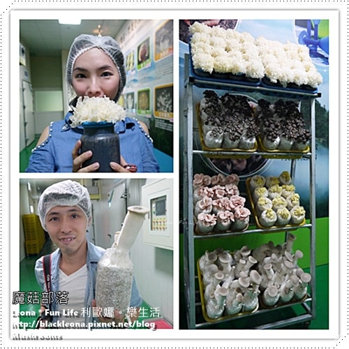 20251027_-244 20251027_-244