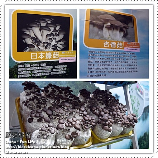 20251027_-245 20251027_-245