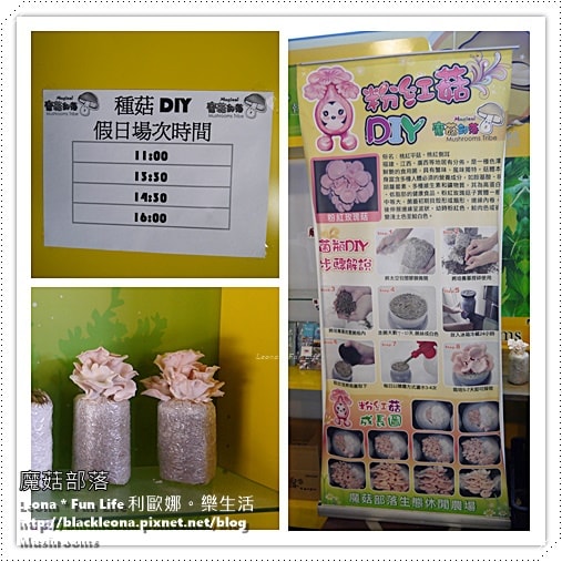 20251027_-249 20251027_-249