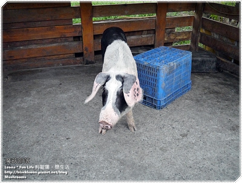 20251027_-262 20251027_-262