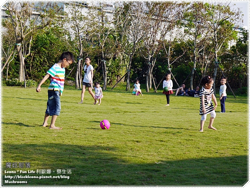 20251027_-264 20251027_-264