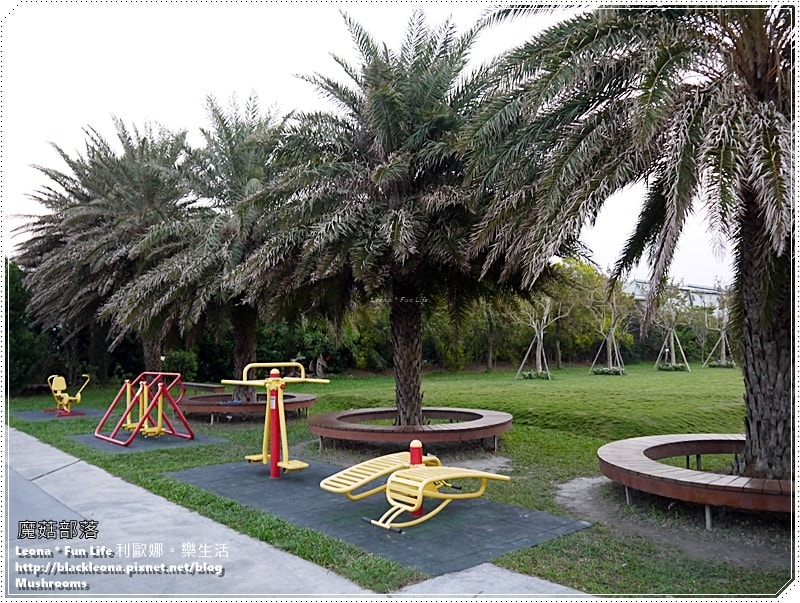 20251027_-265 20251027_-265