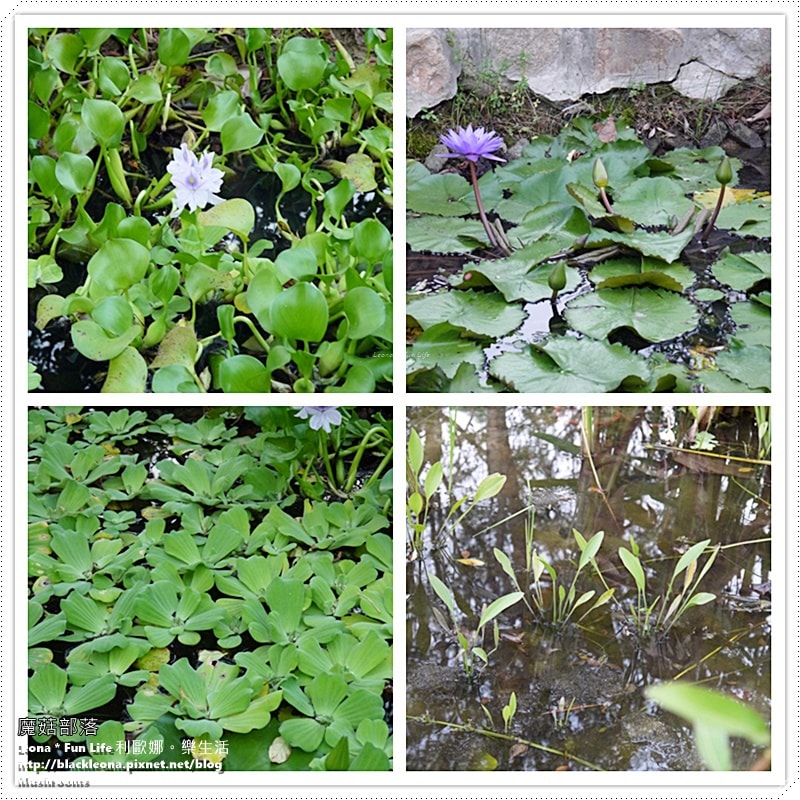 20251027_-268 20251027_-268