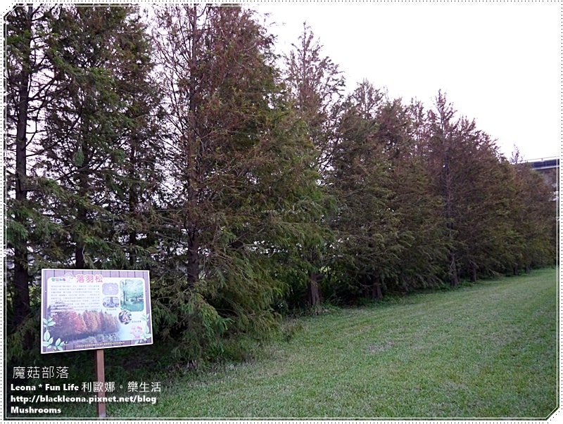 20251027_-271 20251027_-271